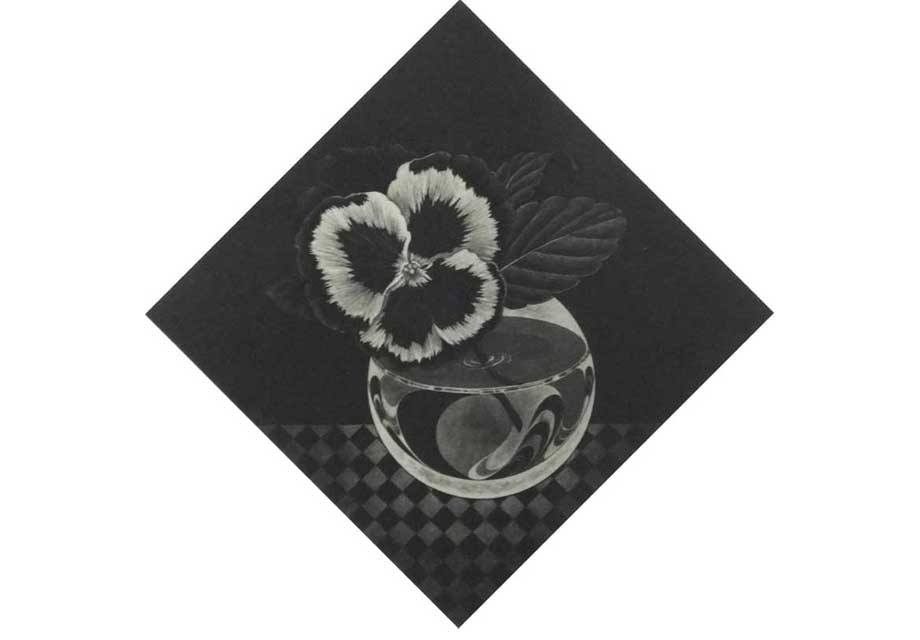 A Pansy