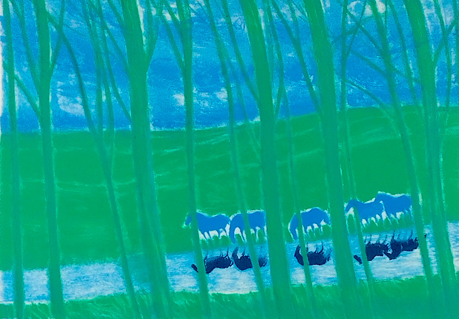 緑の木陰