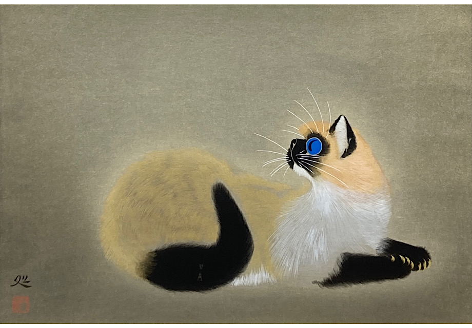 若い猫