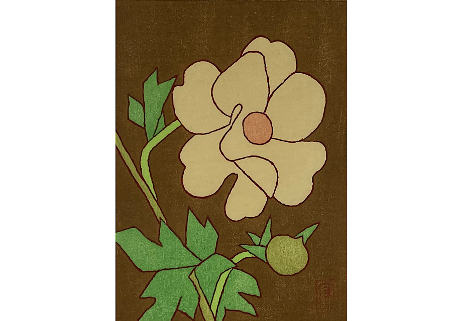 牡丹