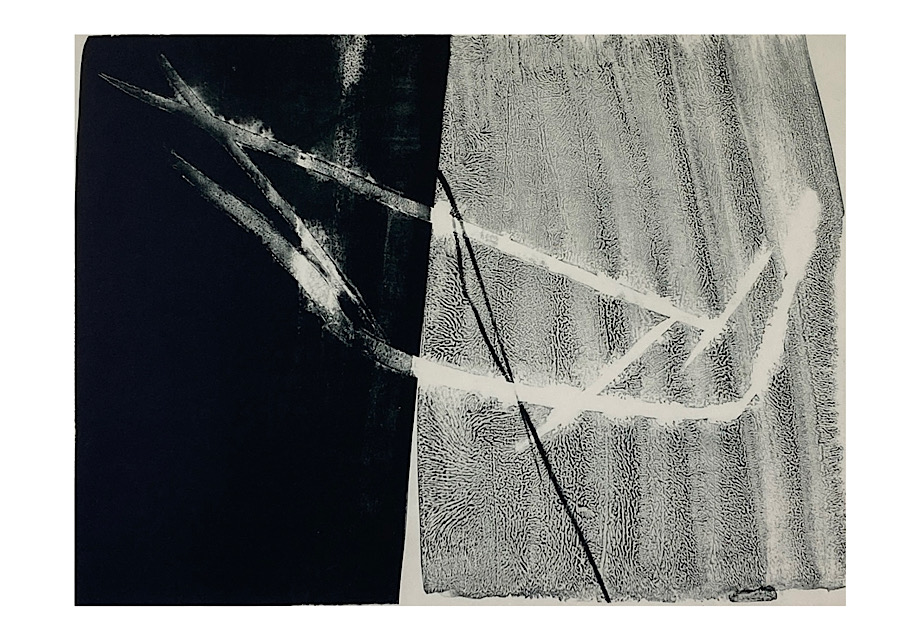 shadows