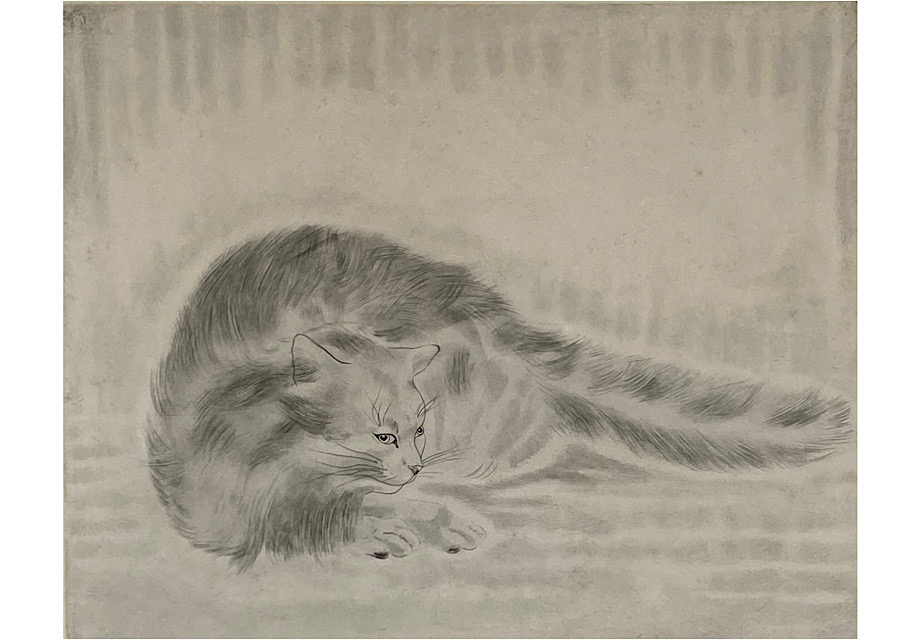 白い猫