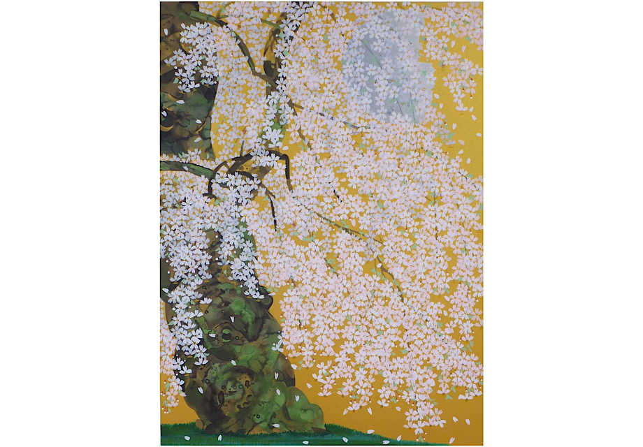 白昼月枝垂桜