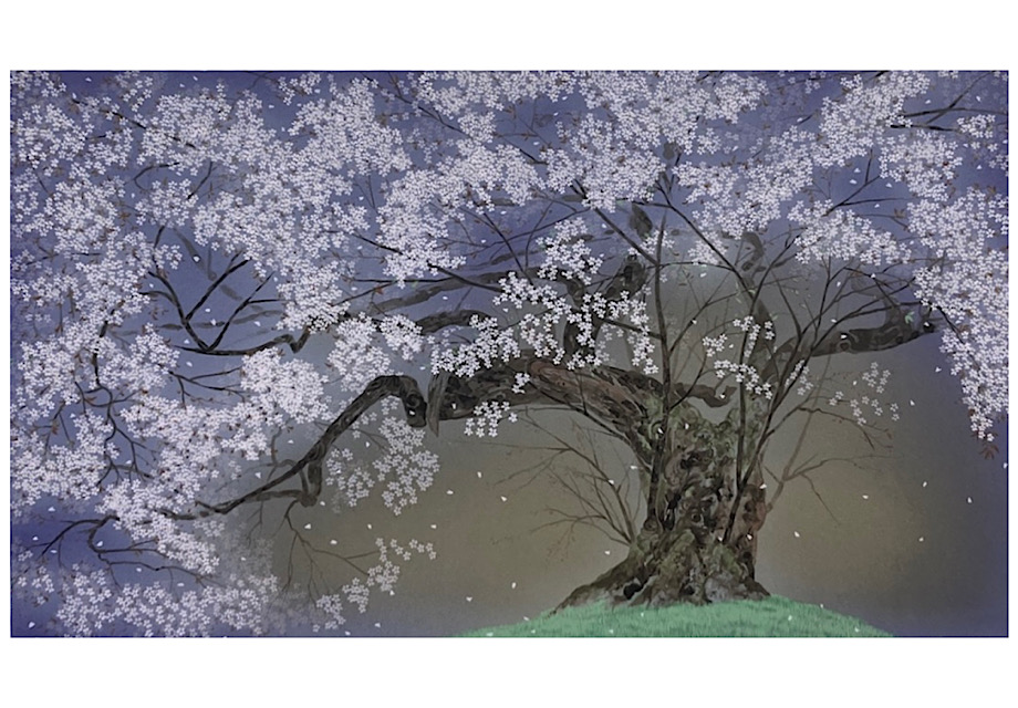 深幽山桜